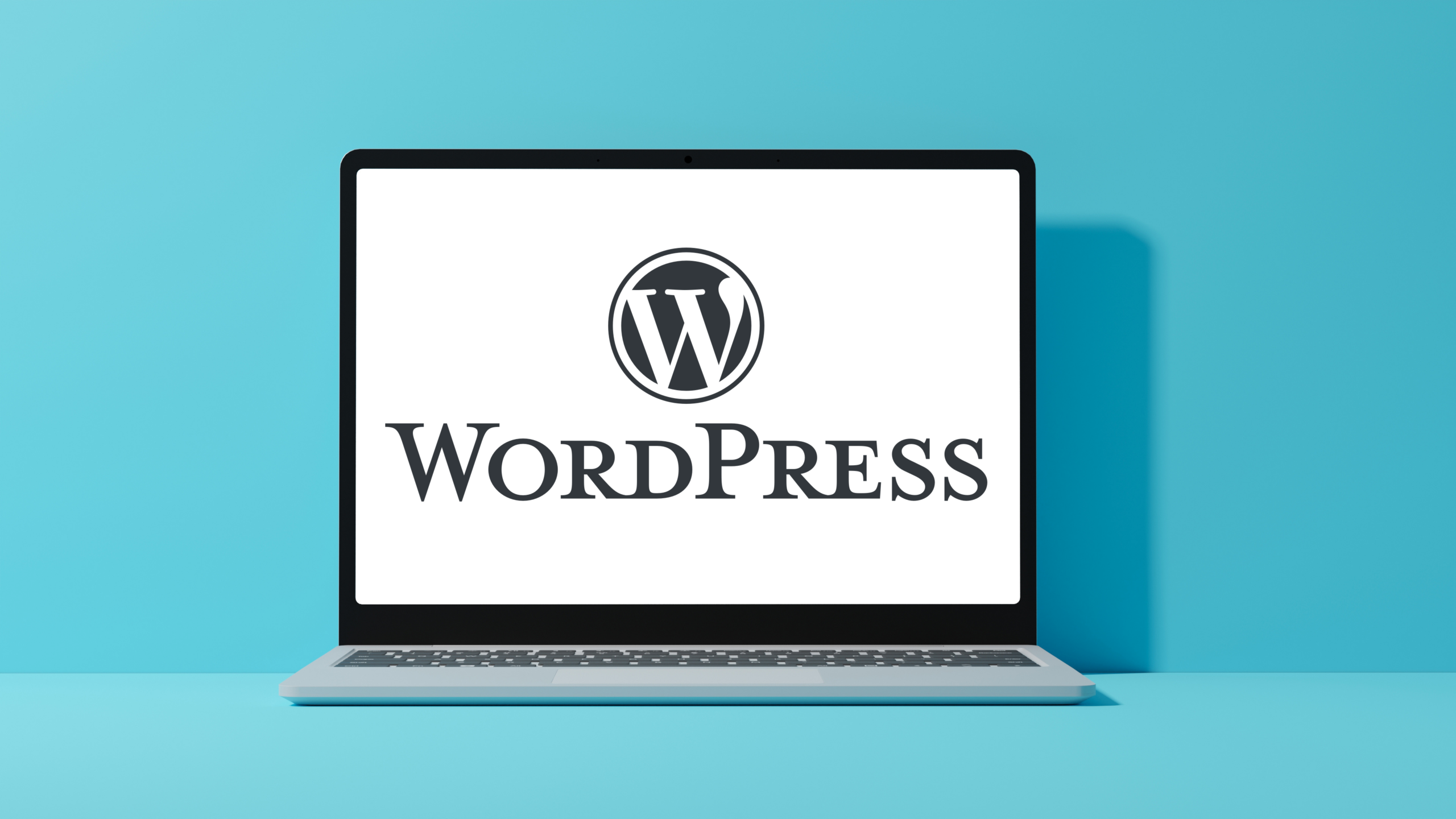 Article Wordpress